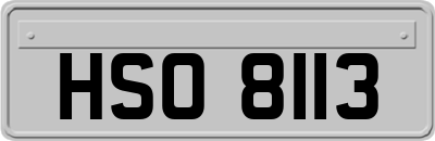 HSO8113