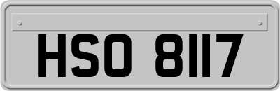 HSO8117