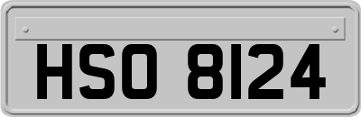 HSO8124