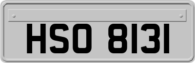 HSO8131