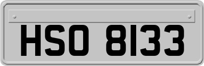 HSO8133