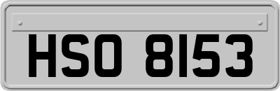 HSO8153