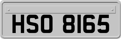 HSO8165