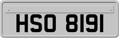 HSO8191
