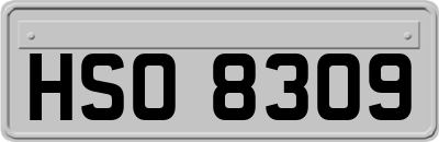 HSO8309
