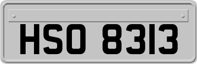 HSO8313
