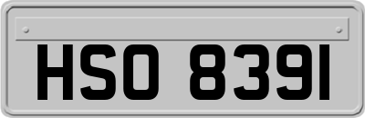 HSO8391