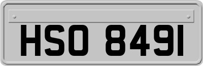 HSO8491