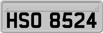 HSO8524