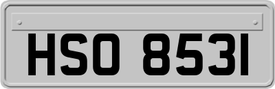 HSO8531