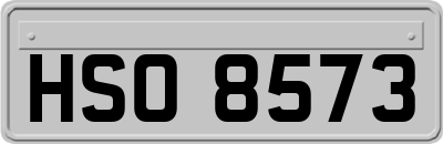 HSO8573