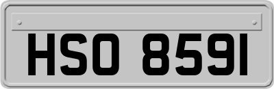 HSO8591