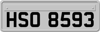 HSO8593