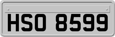 HSO8599