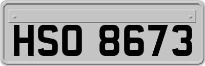 HSO8673