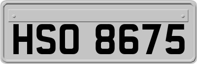 HSO8675