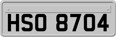 HSO8704