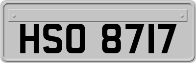 HSO8717