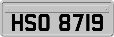 HSO8719