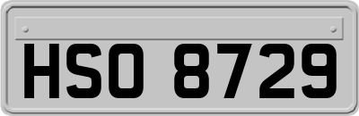 HSO8729