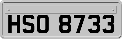 HSO8733