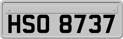 HSO8737