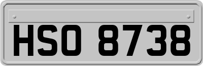 HSO8738