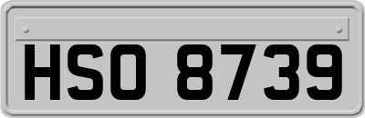 HSO8739