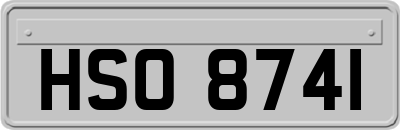 HSO8741