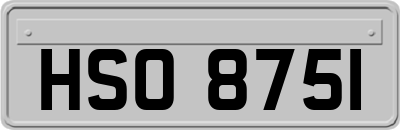 HSO8751