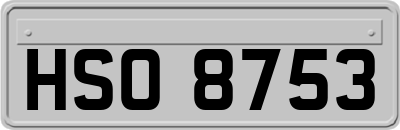HSO8753