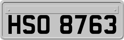 HSO8763