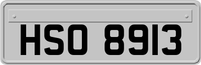 HSO8913