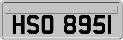 HSO8951