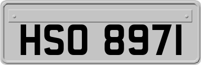 HSO8971