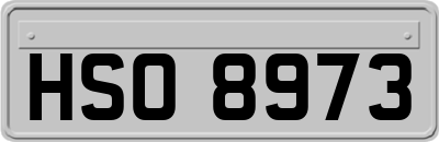 HSO8973