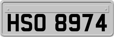 HSO8974