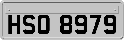 HSO8979