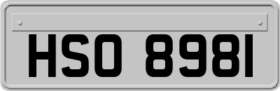 HSO8981