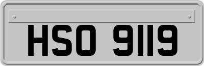 HSO9119