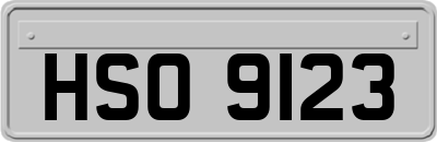 HSO9123