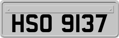 HSO9137