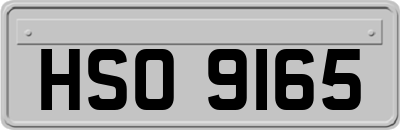 HSO9165