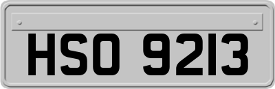 HSO9213