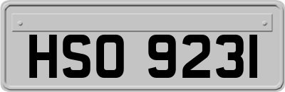 HSO9231