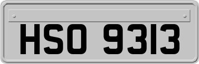 HSO9313