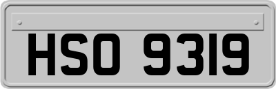HSO9319
