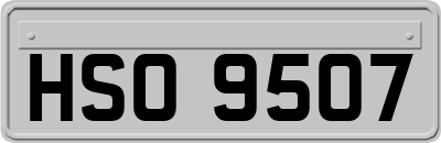 HSO9507