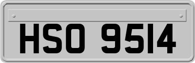 HSO9514