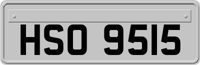 HSO9515